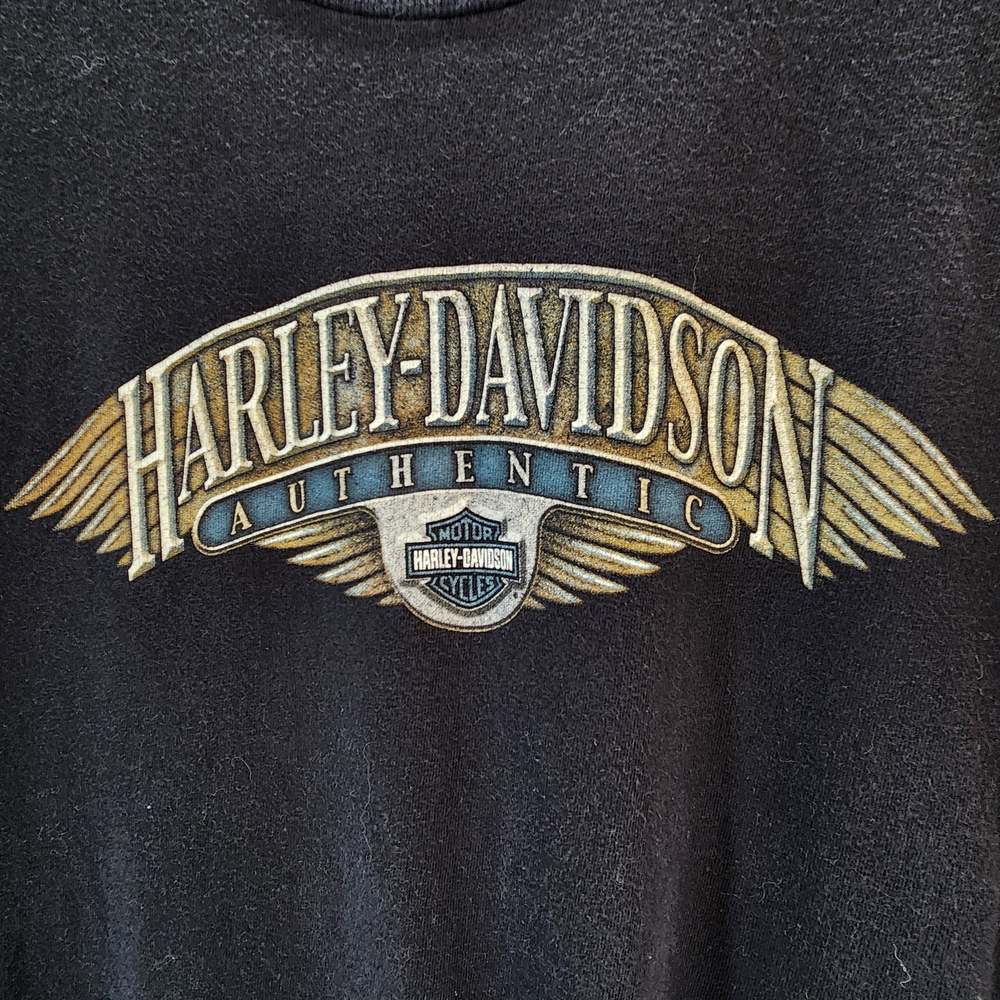Vintage Harley-Davidson 2004 Black Graphic T-Shirt Large Biker Tee Grunge Y2K - Picture 3 of 9